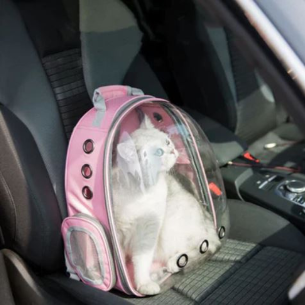 Mochila Pet Para Transporte De Cães E Gatos Visão Panorâmica