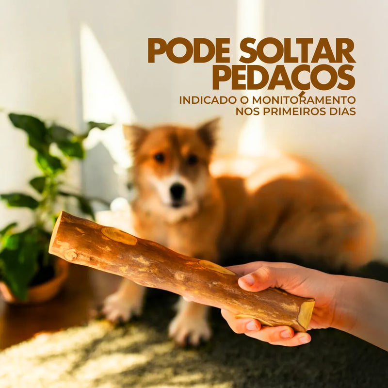 Mordedor de Madeira Rusticão para Pet de Porte Grande